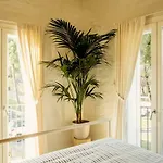 Guest house Sasaral 3*
