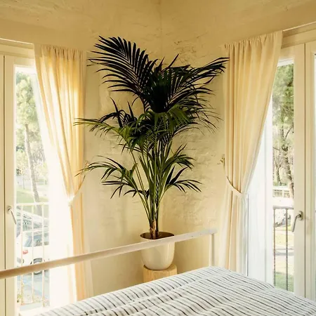 Affittacamere Sasaràl 4*