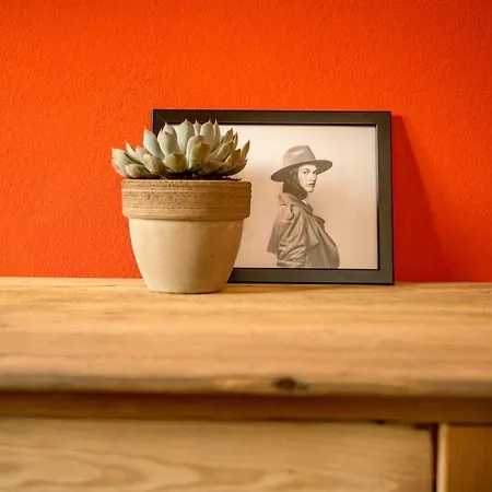 Sasaràl Casa de hóspedes 4*